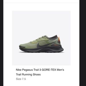 Pegasus trail goretex